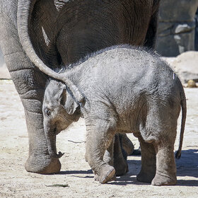 Лучшие фото животных. *** (9)