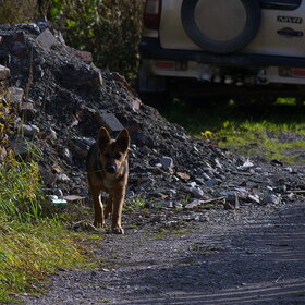 Фото животных. Малыш