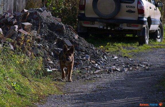 Фото дня. Малыш