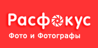 фото животных